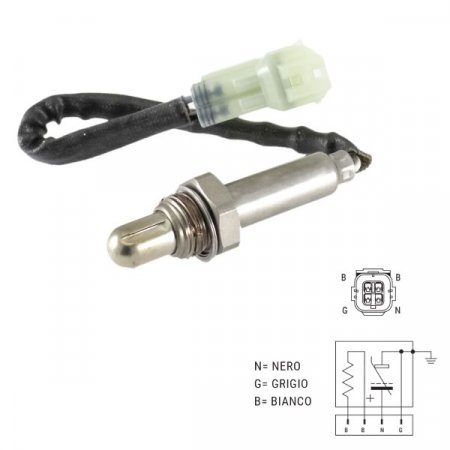 Oxygen sensor RMS 100120250