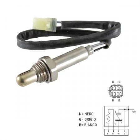 Oxygen sensor RMS 100120340