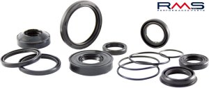 Oil seal kit RMS