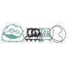 Set garnituri motor RMS 100689851