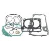 Set garnituri motor RMS 100689861