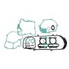 Set garnituri motor RMS 100689881