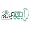 Set garnituri motor RMS 100689941