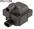 Bobina de inductie RMS 246010132