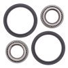 Front Strut Bearing Kit All Balls Racing WB25-1006