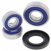 Wheel Bearing Kit All Balls Racing WB25-1089