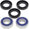 Kit rulmenti si garnituri roata All Balls Racing WB25-1211