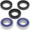 Kit rulmenti si garnituri roata All Balls Racing WB25-1219