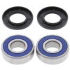 Kit rulmenti si garnituri roata All Balls Racing WB25-1263