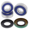 Kit rulmenti si garnituri roata All Balls Racing WB25-1264