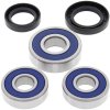 Kit rulmenti si garnituri roata All Balls Racing WB25-1355