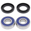 Kit rulmenti si garnituri roata All Balls Racing WB25-1379