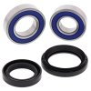 Kit rulmenti si garnituri roata All Balls Racing WB25-1530