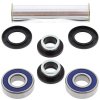 Kit rulmenti si garnituri roata All Balls Racing WB25-1552 upgrade