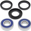 Kit rulmenti si garnituri roata All Balls Racing WB25-1558