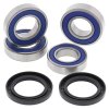 Kit rulmenti si garnituri roata All Balls Racing WB25-1563