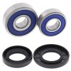 Kit rulmenti si garnituri roata All Balls Racing WB25-1695