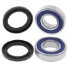 Kit rulmenti si garnituri roata All Balls Racing WB25-1697