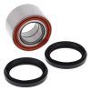 Wheel Bearing Kit All Balls Racing WB25-1699