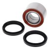 Wheel Bearing Kit All Balls Racing WB25-1700