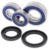 Wheel Bearing Kit All Balls Racing WB25-1703