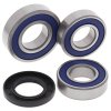 Wheel Bearing Kit All Balls Racing WB25-1706