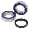 Wheel Bearing Kit All Balls Racing WB25-1709