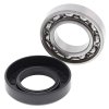 Wheel Bearing Kit All Balls Racing WB25-1715