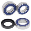 Wheel Bearing Kit All Balls Racing WB25-1720