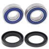 Wheel Bearing Kit All Balls Racing WB25-1724