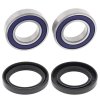 Wheel Bearing Kit All Balls Racing WB25-1726