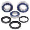 Wheel Bearing Kit All Balls Racing WB25-1727