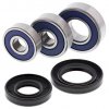 Wheel Bearing Kit All Balls Racing WB25-1735