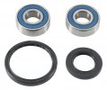 Wheel Bearing Kit All Balls Racing WB25-1744