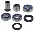 Wheel Bearing Kit All Balls Racing WB25-1770 spate