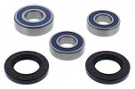 Wheel Bearing Kit All Balls Racing WB25-1779 spate