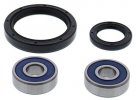 Wheel Bearing Kit All Balls Racing WB25-1785 fata