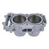 Standard Bore Cylinder Kit CYLINDER WORKS 60003-K02