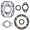 Complete gasket kit with oil seals WINDEROSA CGKOS 711001XA