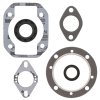 Complete gasket kit with oil seals WINDEROSA CGKOS 711001XB