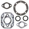 Complete gasket kit with oil seals WINDEROSA CGKOS 711001XC