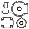 Complete gasket kit with oil seals WINDEROSA CGKOS 711014X