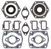 Complete gasket kit with oil seals WINDEROSA CGKOS 711017X