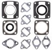 Complete gasket kit with oil seals WINDEROSA CGKOS 711018E