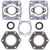 Complete gasket kit with oil seals WINDEROSA CGKOS 711071A