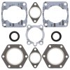 Complete gasket kit with oil seals WINDEROSA CGKOS 711075A