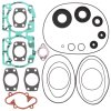 Complete gasket kit with oil seals WINDEROSA CGKOS 711165D