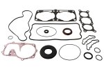 Complete gasket kit with oil seals WINDEROSA CGKOS 711330