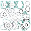 Complete Gasket Kit with Oil Seals WINDEROSA CGKOS 811306