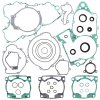 Complete Gasket Kit with Oil Seals WINDEROSA CGKOS 811307